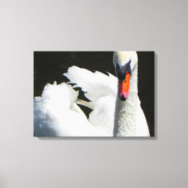 Impressão Em Tela Mute Swan Macro Photo Wall Art