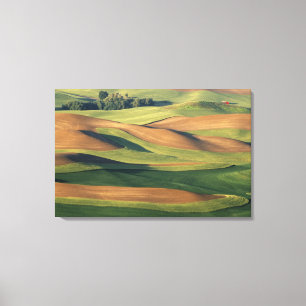 Impressão Em Tela N.A., EUA, Washington, Whitman County.