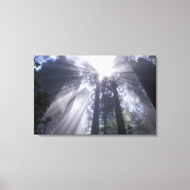 Impressão Em Tela NA, EUA, Califórnia. Del Norte Coast State 2 (Frente)