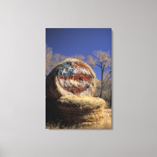 Impressão Em Tela NA, EUA, Colorado, Gunnison. Rolo de feno patrióti