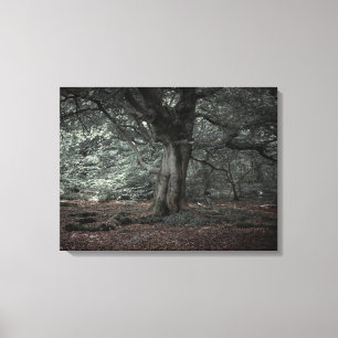 Impressão Em Tela Na floresta de contos de fadas