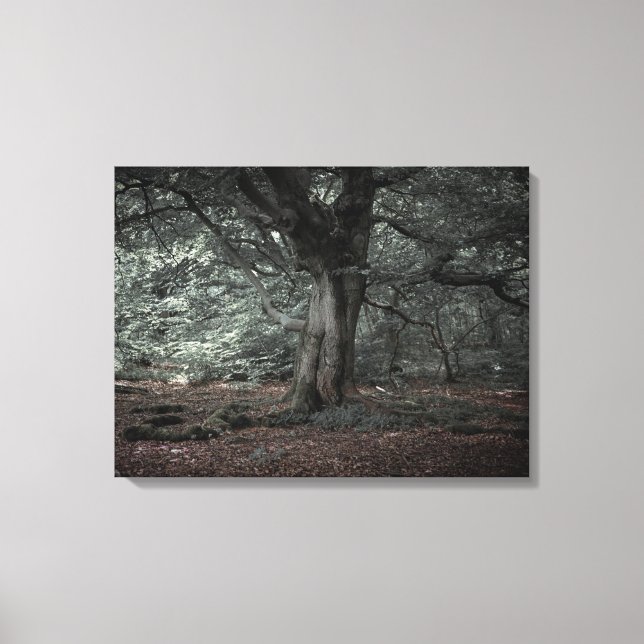 Impressão Em Tela Na floresta de contos de fadas (Frente)