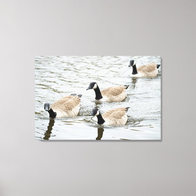 Impressão Em Tela Nação de gansos (Frente)