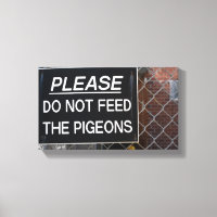 Não alimente a fotografia de NYC New York dos pomb
