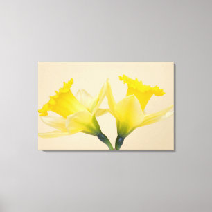 Impressão Em Tela Narcisos amarelos