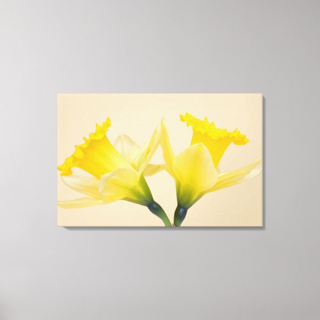Impressão Em Tela Narcisos amarelos (Frente)