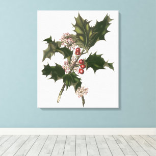 Impressão Em Tela Natal Antigo, Planta de Azevim com Frutas Vermelha
