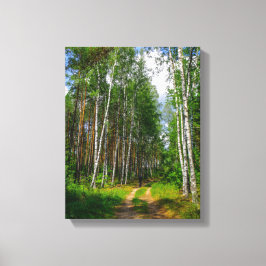 Impressão Em Tela Nature Landscape Forest Birch Bielorrússia