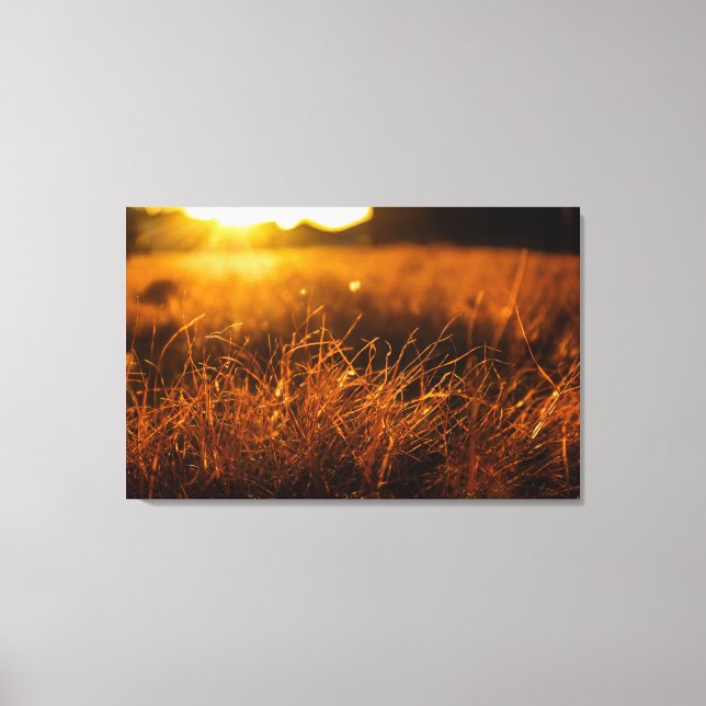 Impressão Em Tela Nature Wall Art (Frente)