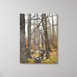 Impressão Em Tela Natureza cipriota Paisagem Troodos floresta marrom
