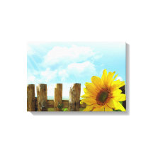 Natureza Sunflower Beleza