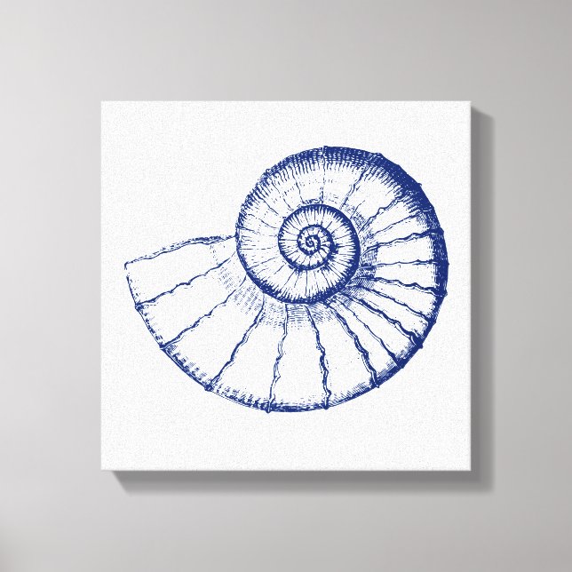 Impressão Em Tela Nautilus Sea Shell Minimalista (Frente)