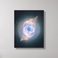 Nebula Ocular De Gatos