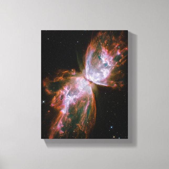 Impressão Em Tela Nebulosa Borboleta (Frente)