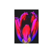 Neon Glow Tulip
