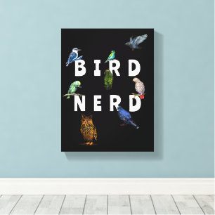 Impressão Em Tela Nerd, papagaios, coruja, pombos, kookaburra