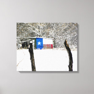 Impressão Em Tela Neve de Texas