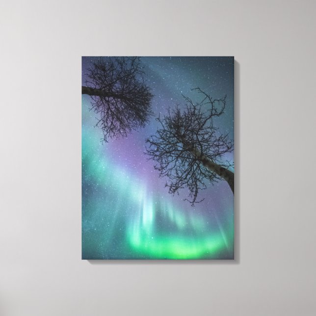 Impressão Em Tela Norte Lights Trees Norway (Frente)