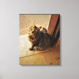 Impressão Em Tela Notebook de Gatinho curioso