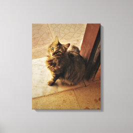Impressão Em Tela Notebook de Gatinho curioso