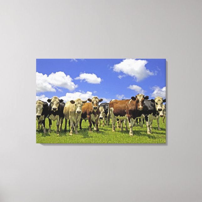 Impressão Em Tela Nova Zelândia, Ilha do Norte, Áustria (Frente)