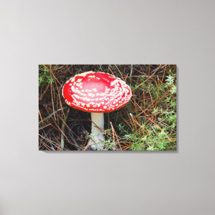 Impressão Em Tela Nova Zelândia, Rotorua, Zona Vulcânica de Taupo