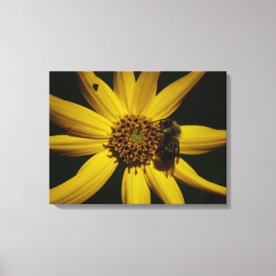 Impressão Em Tela O Bumble e o Girassol