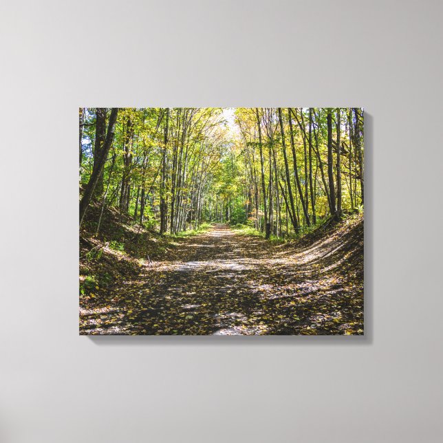 Impressão Em Tela O Caminho da Virgínia Creeper (Frente)