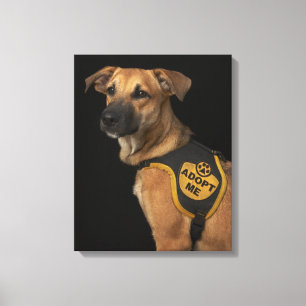 Impressão Em Tela O cão do salvamento de Brown com adota-me veste