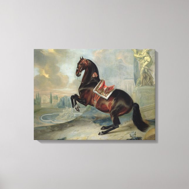 Impressão Em Tela O cavalo da baía escura "Valido" (Frente)