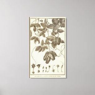 Impressão Em Tela O Chile 10