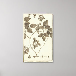 Impressão Em Tela O Chile 9