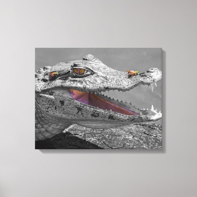 Impressão Em Tela O crocodilo sorridente e as moscas (Frente)