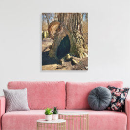 Impressão Em Tela O Curioso Oco 16x20