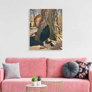 Impressão Em Tela O Curioso Oco 16x20
