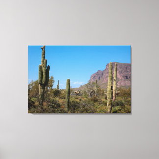 Impressão Em Tela O Deserto de Sonora do Arizona