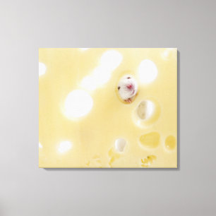 Impressão Em Tela O estúdio disparou do rato branco que olha atrav