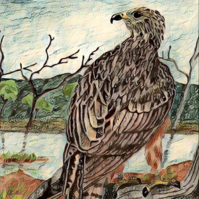 Impressão Em Tela O Hawk (Criador carregado)