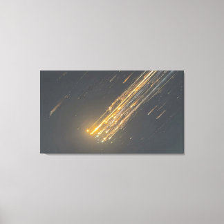 Impressão Em Tela O Incrível Declínio da SpaceX - Arte em Tela Icôni