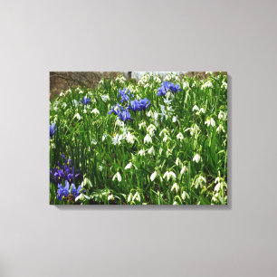 Impressão Em Tela O montanhês do primavera adiantado floresce a