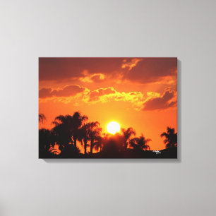 Impressão Em Tela O por do sol da palmeira de Florida esticou o