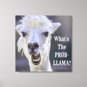 Impressão Em Tela O que é o Prob-Llama? LLAMA Engraçado