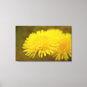 Impressão Em Tela O sonho de Dandelion. flor selvagem amarela bonito