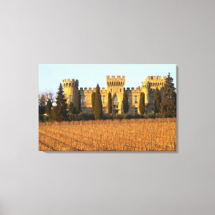 Impressão Em Tela O vinhedo com videiras syrah e o castelo