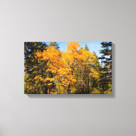 Impressão Em Tela Oaks em outono