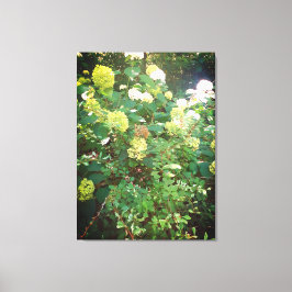 Impressão Em Tela Ofertas de Natures, Impressão de tela estendida