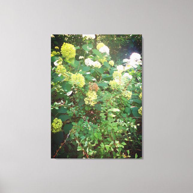 Impressão Em Tela Ofertas de Natures, Impressão de tela estendida (Frente)