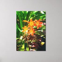 Impressão Em Tela Ofertas de Natures, Impressão de tela estendida