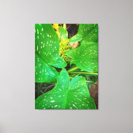 Impressão Em Tela Ofertas de Natures, Impressão de tela estendida