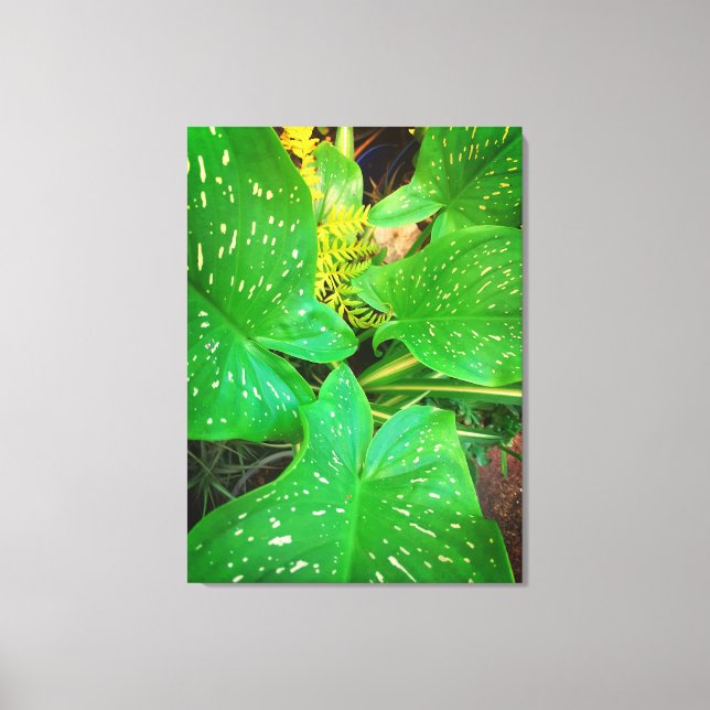 Impressão Em Tela Ofertas de Natures, Impressão de tela estendida (Frente)